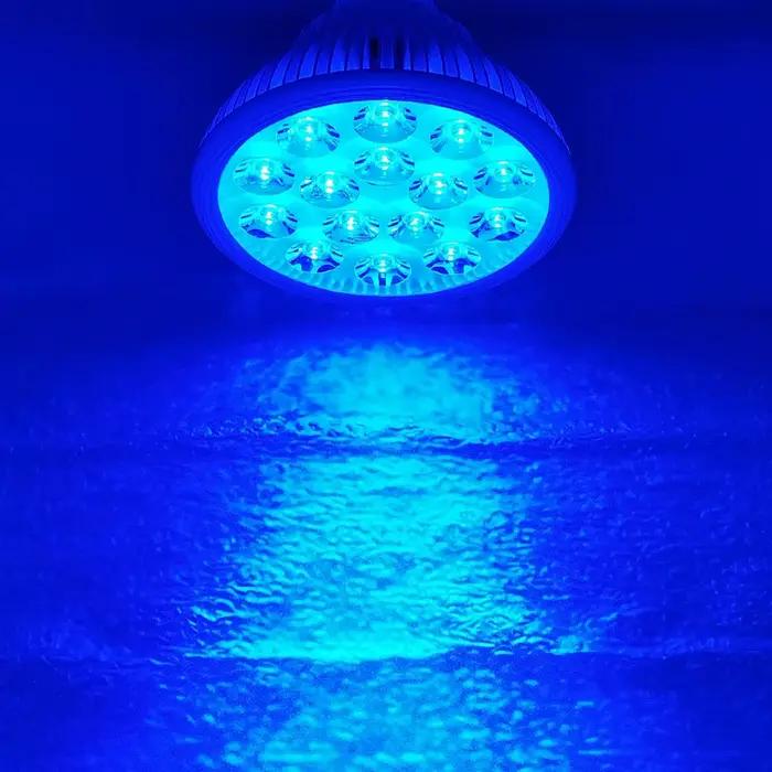 30 W/15 W 470nm ~ 475nm PAR38 lampe à LED bleu glace ampoule pour plante Aquarium E27 E26