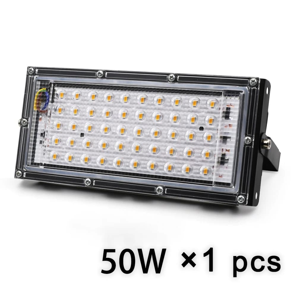 Focos LED projecteur 50W 100W AC 220V réflecteur LED Spot projecteur jardin projecteur extérieur cui