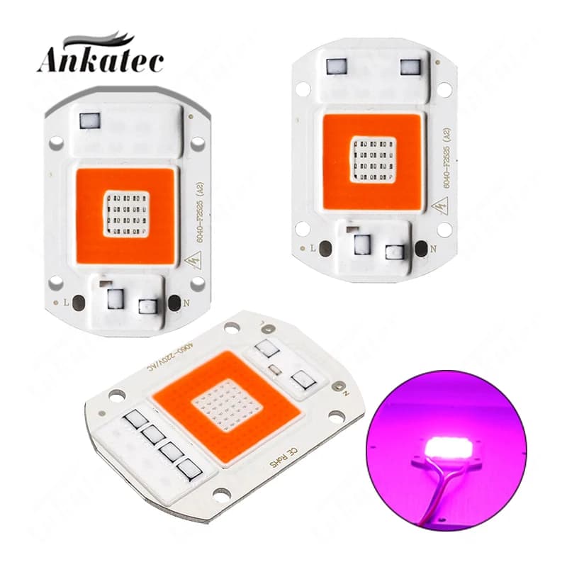 Lampe LED COB pour plantes, panneau de source de lumière de surface intégré, haute tension, sans ent