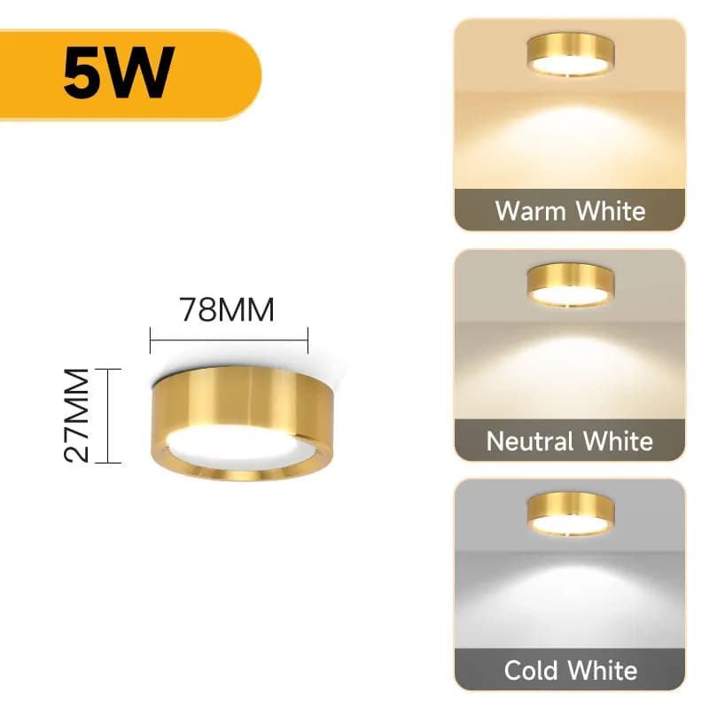 LED plafonnier 3 changement de couleur Mini plafonnier 5/10/15/25W pour salon chambre salle de bain 