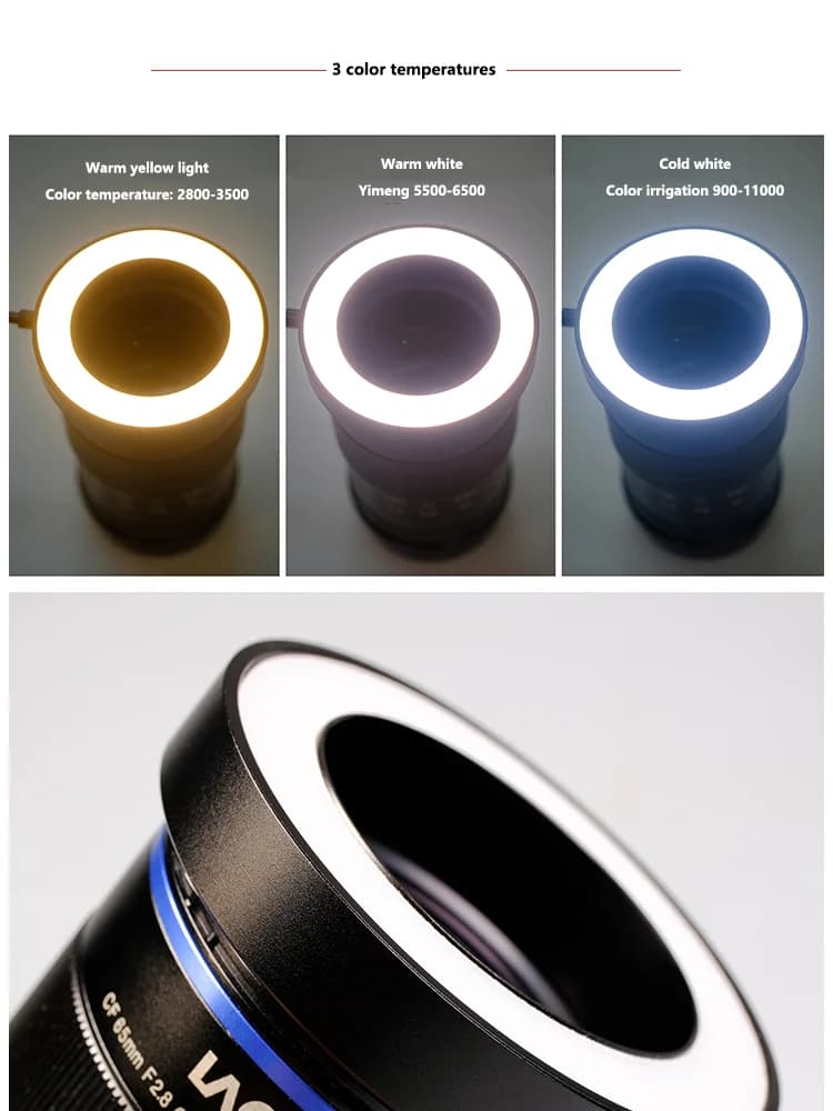 Anneau lumineux LED Macro pour objectif d'appareil photo Canon Nikon DSLR, outil de photographie Mac