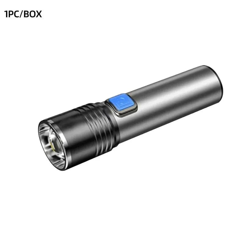 Lampe de poche UV Rechargeable USB pour la détection d'urine animale de compagnie, résine durcie, la