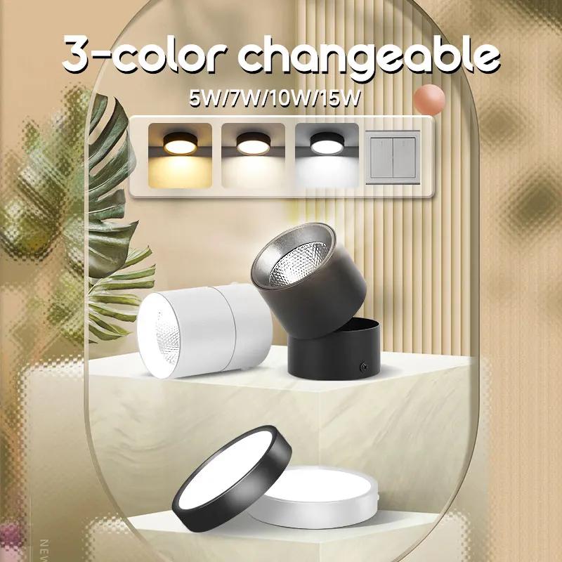 Spot lumineux Led en aluminium monté en Surface, éclairage d'intérieur, luminaire décoratif de plafond, idéal pour un salon ou une chambre à coucher, 5/10/15/25W, 220V