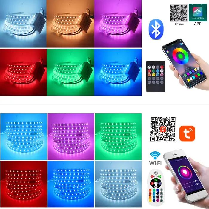 220V 5050 RGB LED bande haute luminosité Flexible lumière LED bande étanche IP67 LED bande extérieure décor à la maison lumière avec télécommande