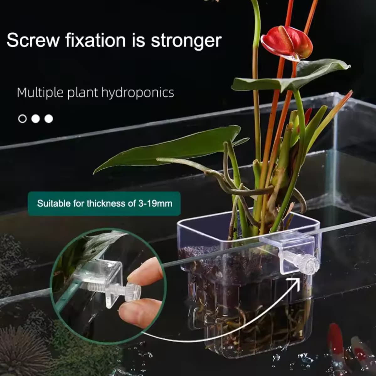 Bulles de poisson Aquarium eau herbe tasse plusieurs plantes hydroponique hydroponique plantation pa